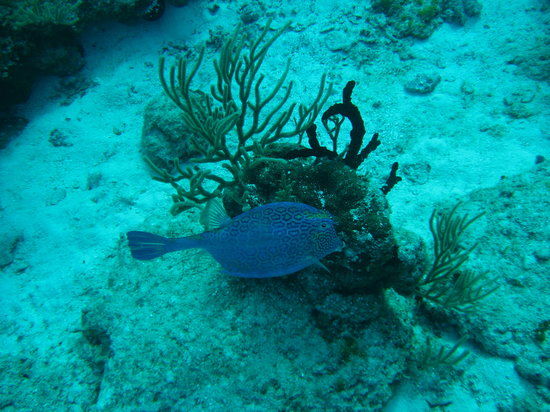 Chankanaab Beach Adventure Park